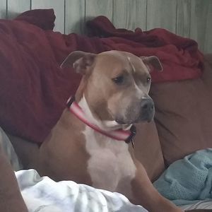 Meet your Posher, Roxanne